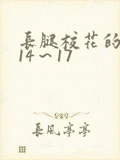 长腿校花的呻吟14～17封面