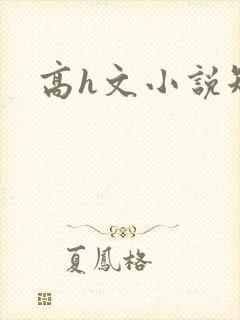 高h文小说短篇