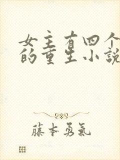 女主有四个丫鬟的重生小说