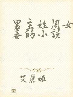 男主姓周女主姓姜的小说封面