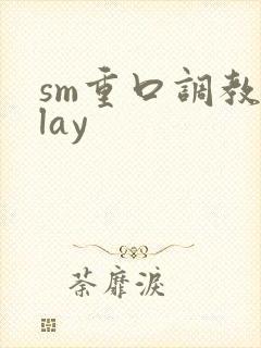 sm重口调教play封面