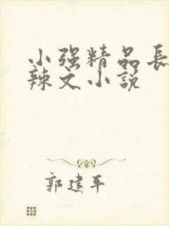 小强精品长篇肉辣文小说