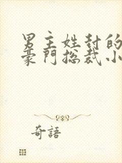 男主姓封的所有豪门总裁小说