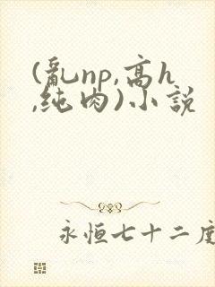 (乱np,高h,纯肉)小说