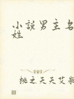 小说男主名字顾姓