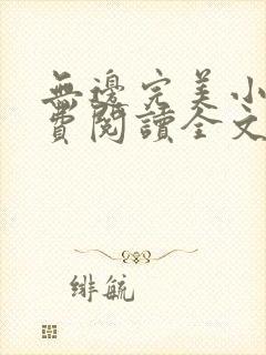 无边完美小说免费阅读全文最新章节