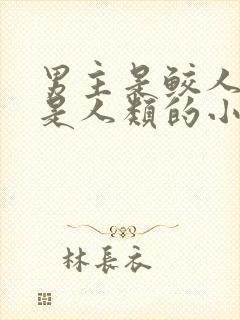 男主是鲛人女主是人类的小说