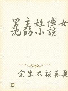 男主姓傅女主姓沈的小说