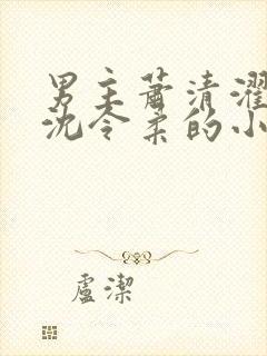 男主萧清濯女主沈令柔的小说封面