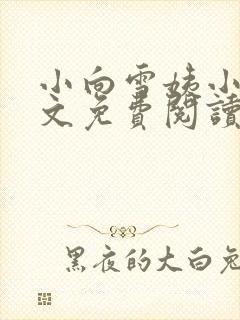 小向雪姨小说全文免费阅读最新章节封面