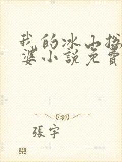 我的冰山总裁老婆小说免费封面