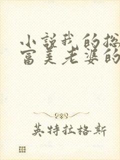 小说我的总裁白富美老婆的免费阅读封面