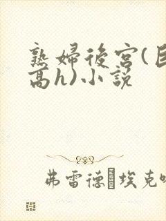 熟妇后宫(巨肉高h)小说封面