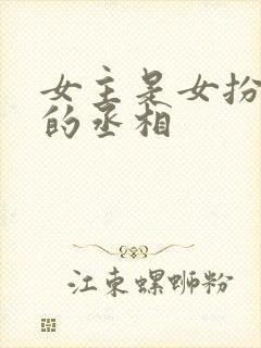 女主是女扮男装的丞相封面