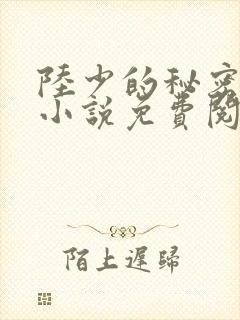 陆少的秘密恋人小说免费阅读