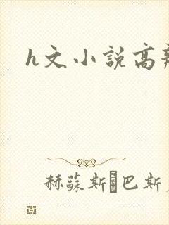 h文小说高辣