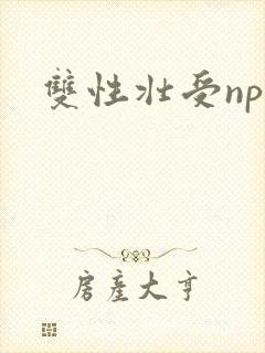 双性壮受np文