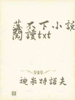 落不下小说免费阅读txt
