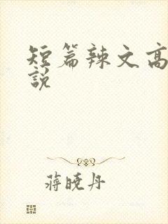 短篇辣文高h小说