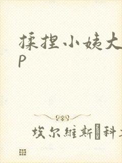 揉捏小姨大奶子p封面
