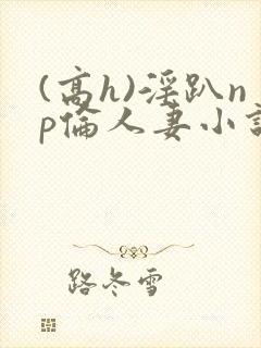 (高h)淫趴np伦人妻小说封面