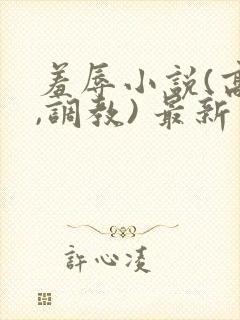 羞辱小说(高h,调教) 最新章节