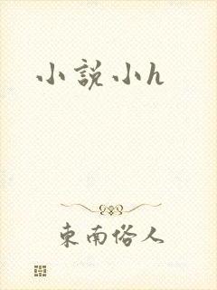 小说小h