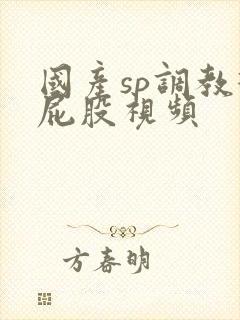 国产sp调教打屁股视频