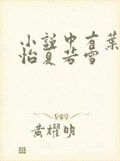 小说中有叶辰孙怡夏若雪