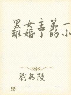 男女主第一章就离婚了的小说封面