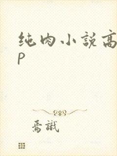 纯肉小说高hnp