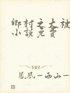 乡村之大被同眠小说免费