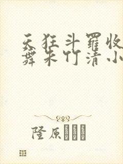 天狂斗罗收服小舞朱竹清小说