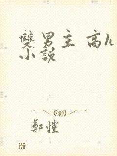 双男主 高h 小说