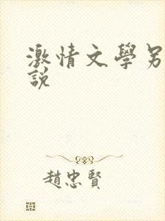 激情文学另类小说