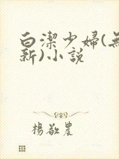白洁少妇(无删新)小说