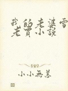 我的老婆雪儿,老贾小说