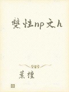 双性np文h