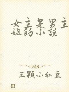 女主是男主的继姐的小说