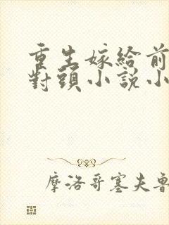 重生嫁给前夫死对头小说小说