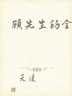 顾先生的金丝雀