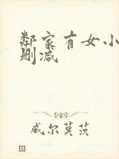 邻家有女小说无删减