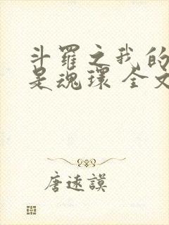 斗罗之我的武魂是魂环 全文封面