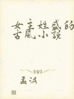 女主姓盛的穿越古风小说