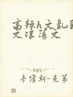 高辣h文乱乳h文浪荡文封面