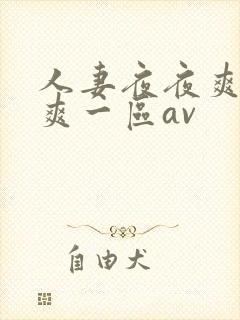 人妻夜夜爽天天爽一区av封面