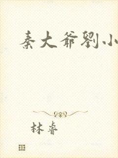 秦大爷刘小静封面