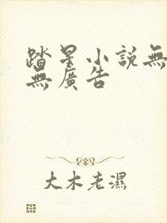 踏星小说无弹窗无广告