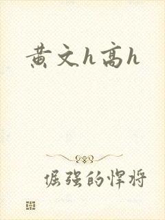 黄文h高h
