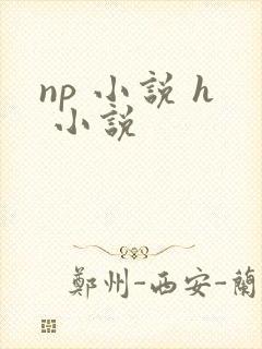 np 小说 h 小说